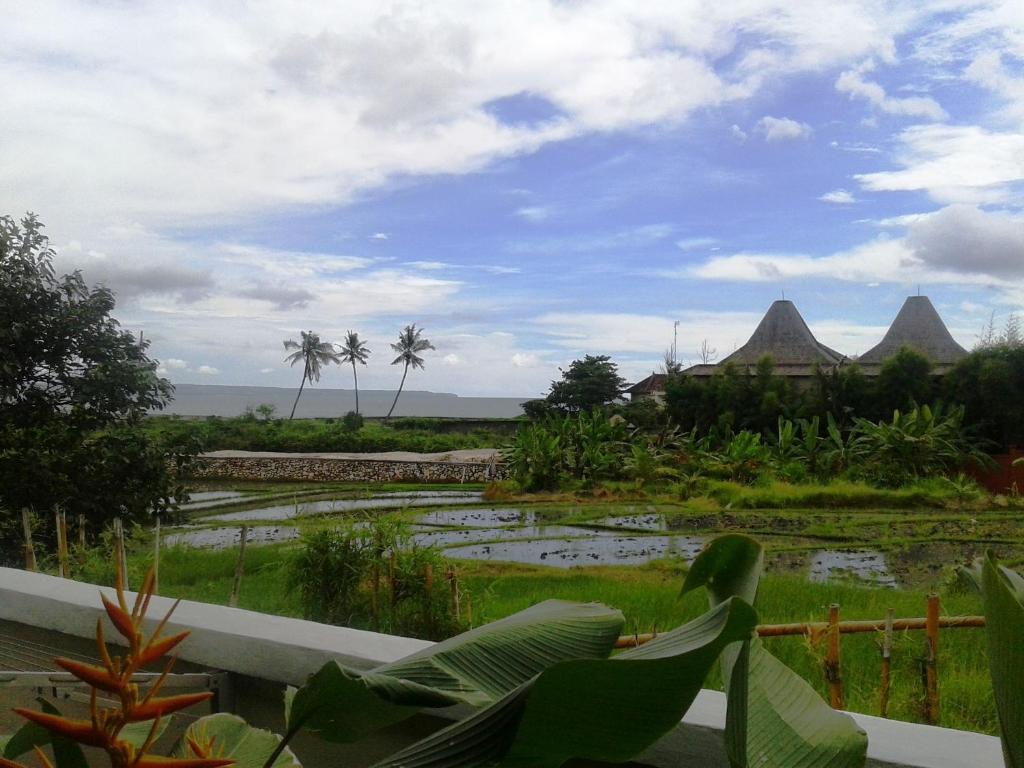 Surfer Paradise Villas Canggu Exterior foto
